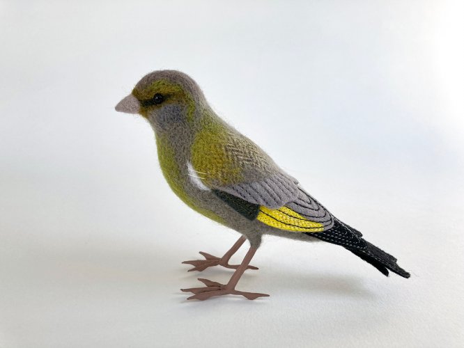 Greenfinch by Russell Wilson - alternative image