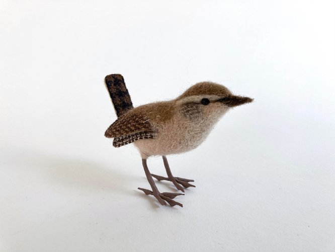 Wren 1 by Russell Wilson - alternative image