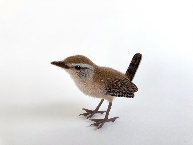 Wren 1 by Russell Wilson - alternative image