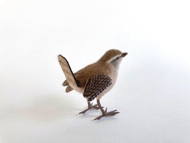 Wren 1 by Russell Wilson - alternative image