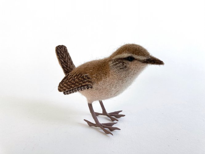 Wren 2 by Russell Wilson - alternative image