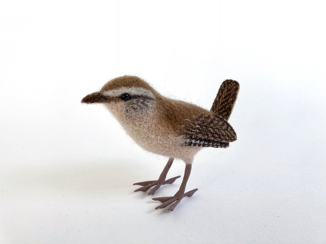 Wren 2 by Russell Wilson - alternative image