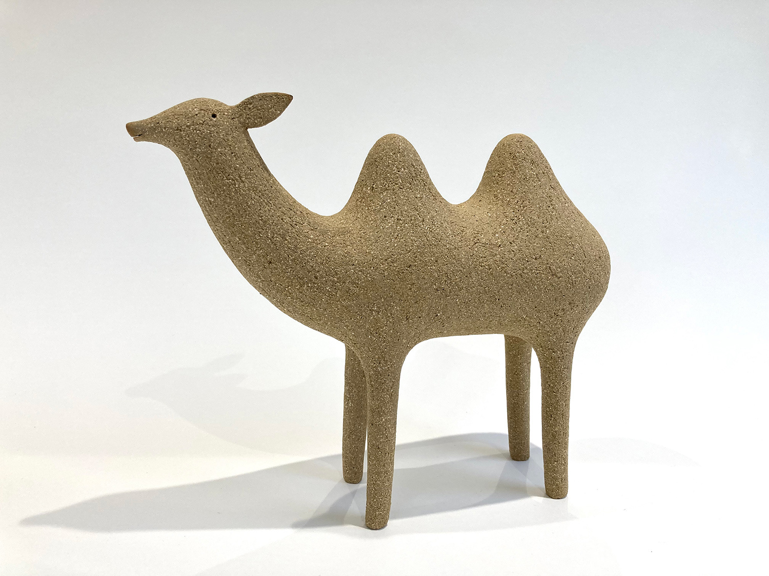 Bactrian Camel by Russell Wilson