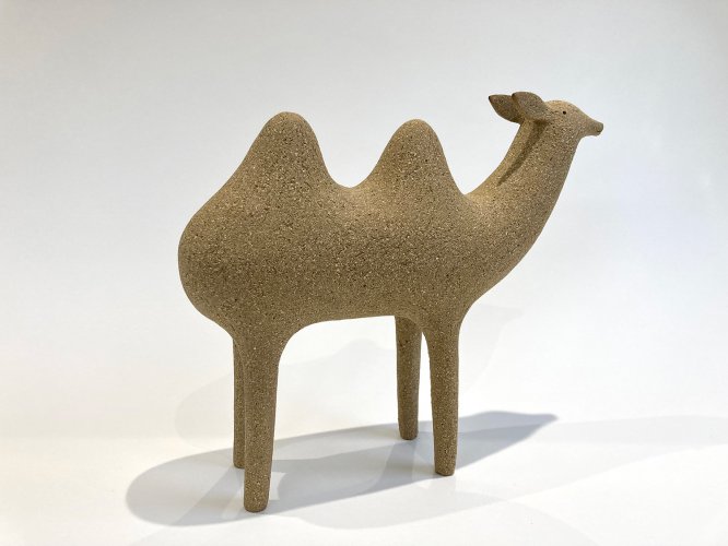 Bactrian Camel by Russell Wilson - alternative image