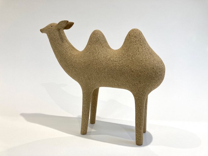 Bactrian Camel by Russell Wilson - alternative image