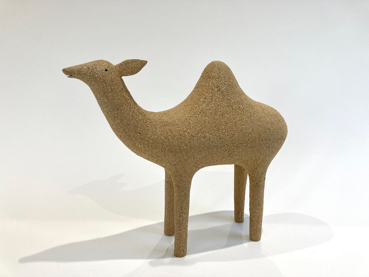 Dromedary Camel by Russell Wilson