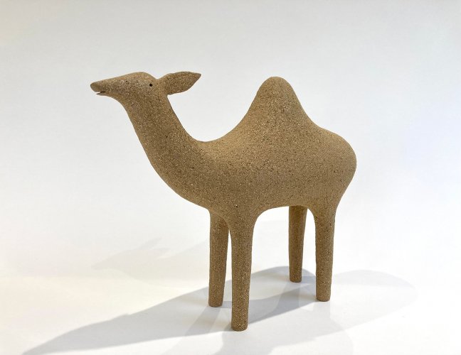 Dromedary Camel by Russell Wilson - alternative image