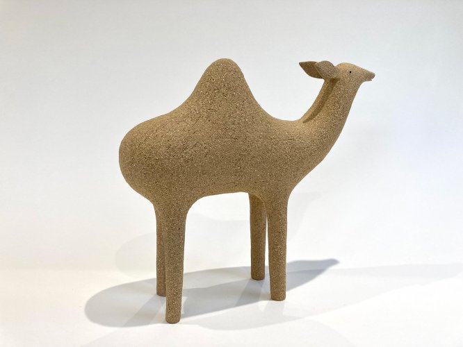 Dromedary Camel by Russell Wilson - alternative image