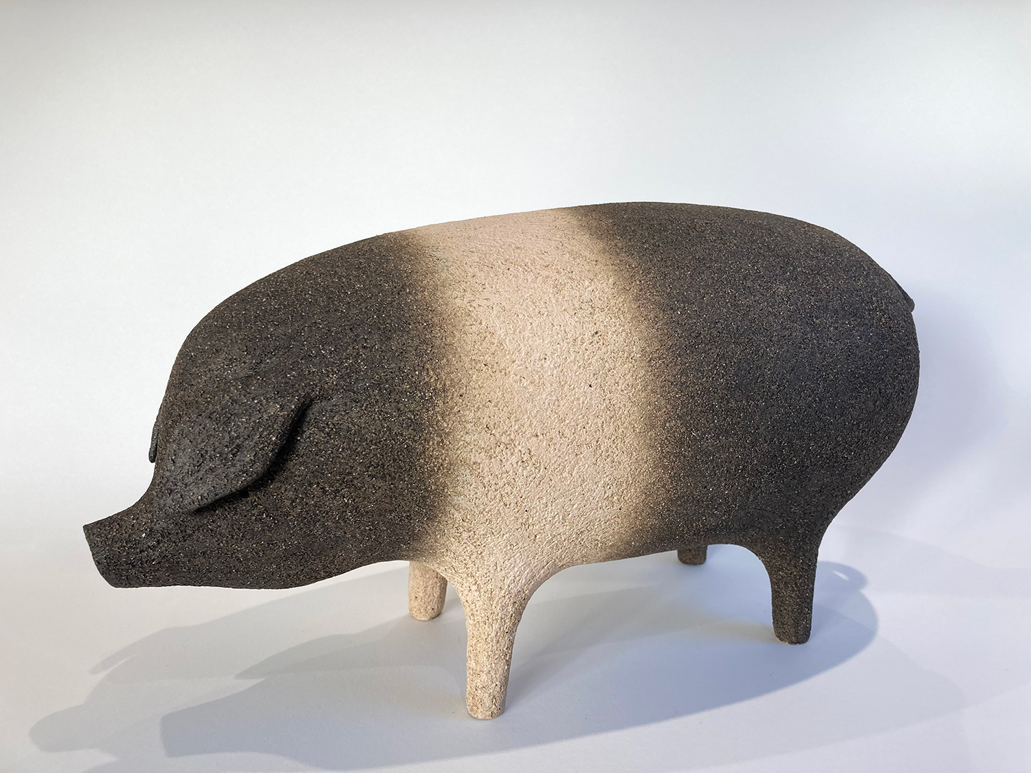 Saddleback Pig ii by Russell Wilson