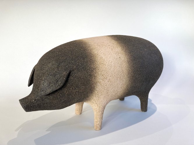 Saddleback Pig ii by Russell Wilson - alternative image