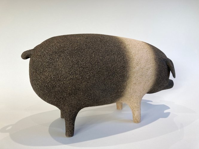 Saddleback Pig ii by Russell Wilson - alternative image