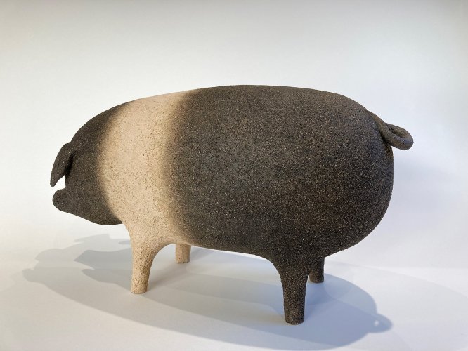 Saddleback Pig ii by Russell Wilson - alternative image