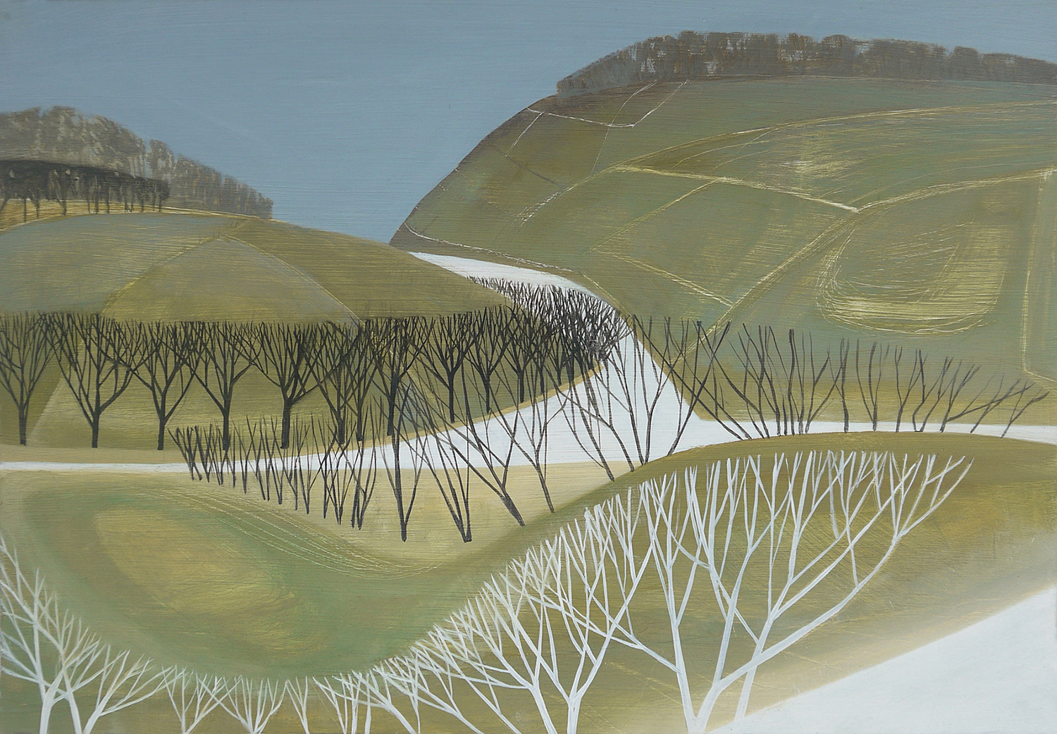 Ceredigion Landscape by Sarah Lees