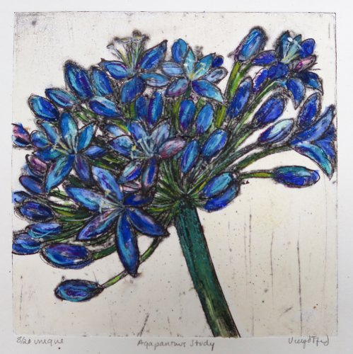 Agapanthus Study by Vicky Oldfield - alternative image