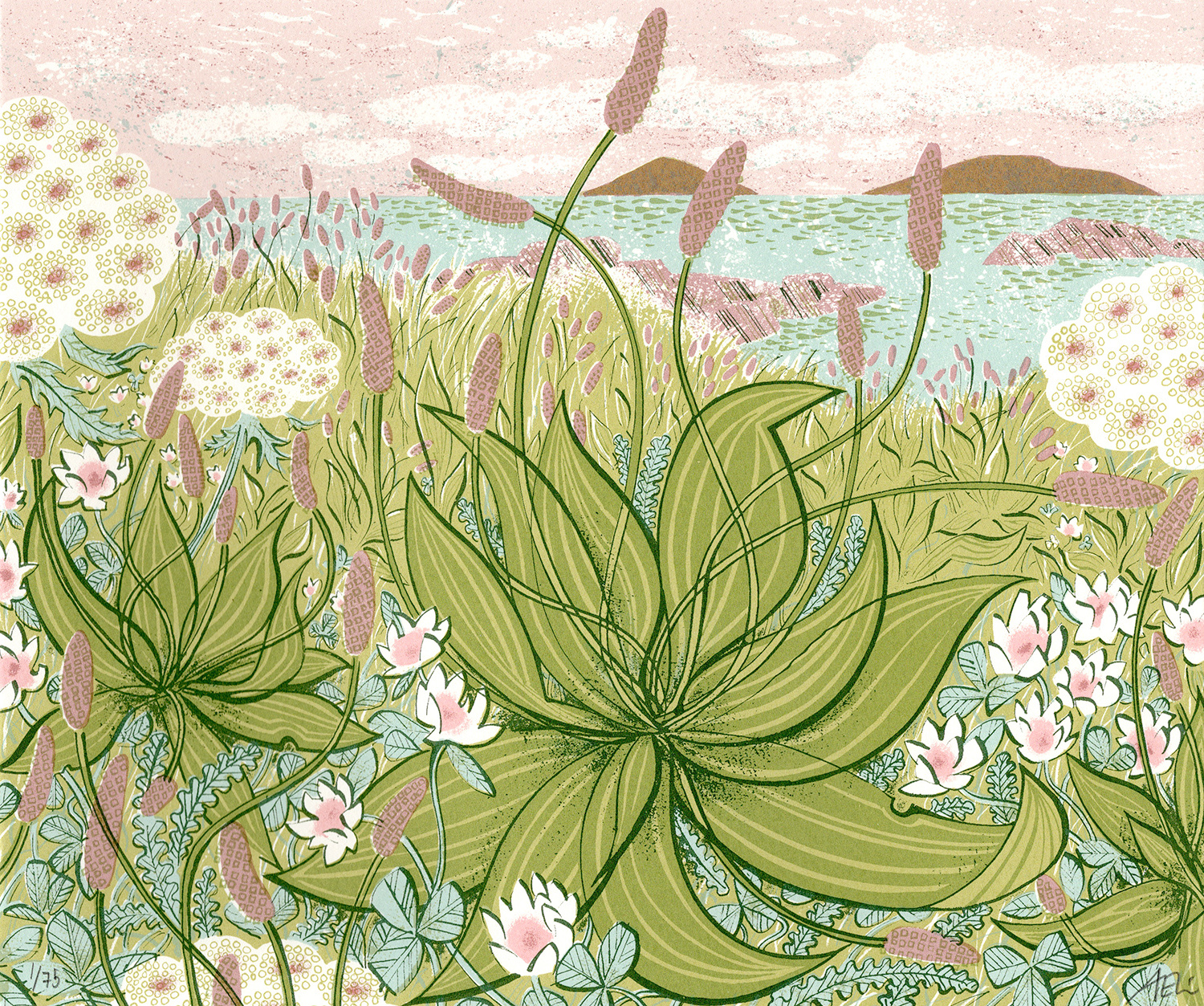 Plantain, Summer Shore by Angie Lewin